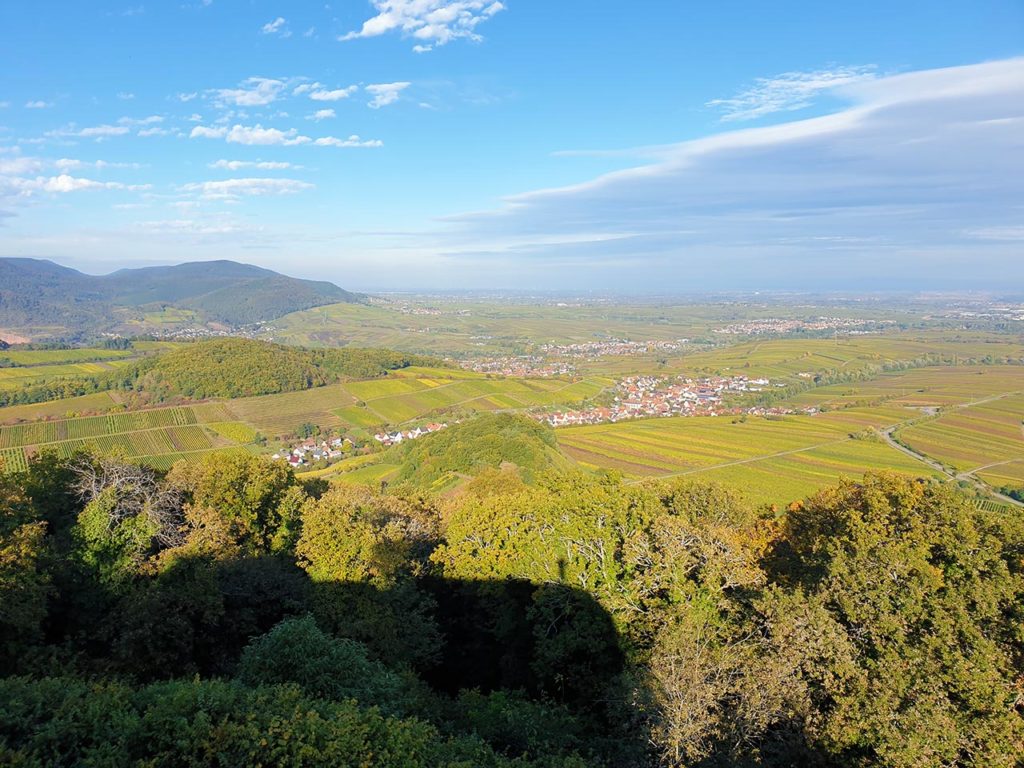 Ranschbach an der Südlichen Weinstraße - Blick von Burg Neukastel