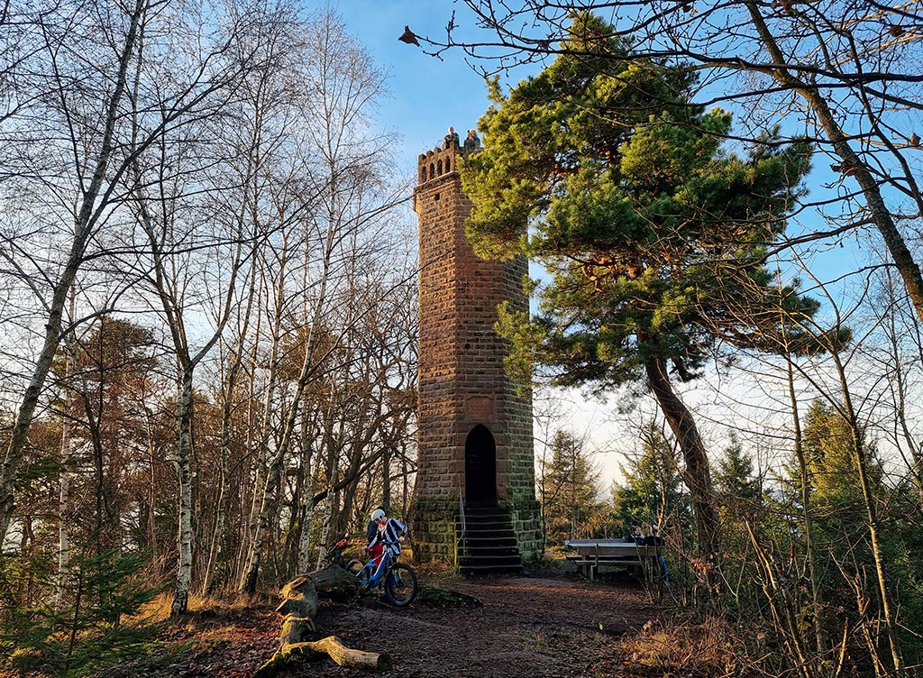 Der Rehbergturm im Pfälzerwald