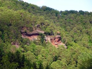 Aussichtsfelsen Deichenwand bei Wilgartswiesen im Pfälzerwald