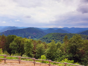 Blick von der Jung-Pfalz-Hütte bei Annweiler am Trifels im Pfälzerwald