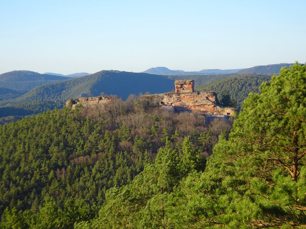 Burgruine Drachenfels bei Busenberg im Wasgau