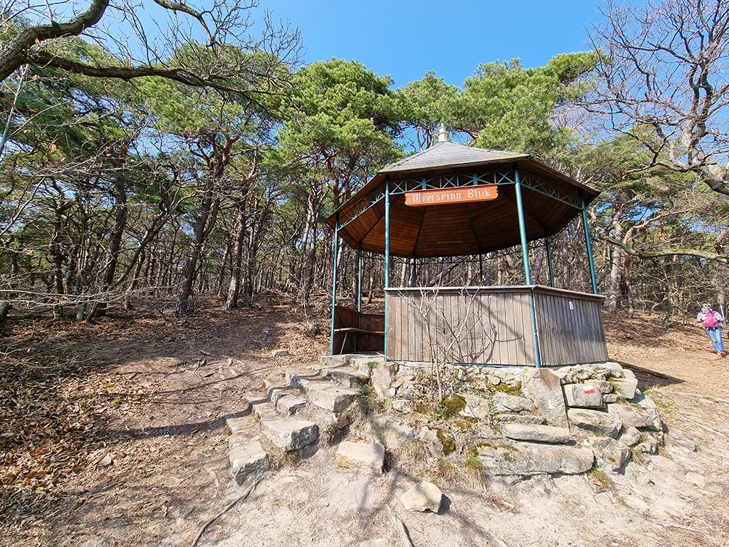 Gimmeldinger Meerspinn-Blick im Pfälzerwald