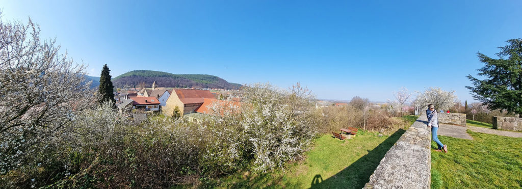 Panoramablick Alte Burg in Neustadt - Gimmeldingen in der Pfalz