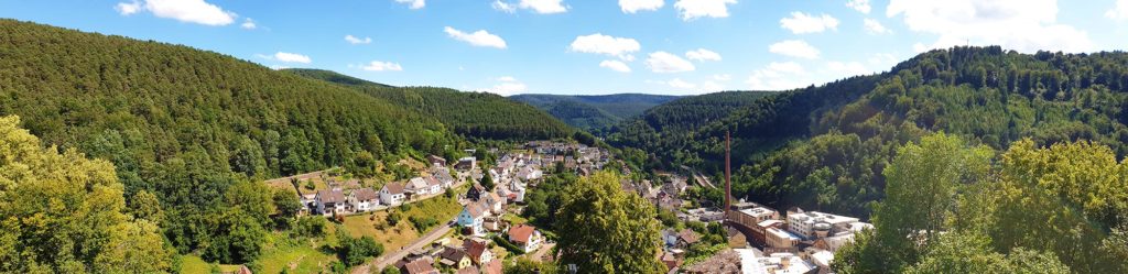 Panoramablick Burg Neidenfels in der Pfalz
