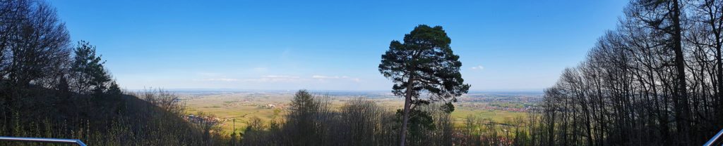 Panoramablick von der Ringelsberghütte über Frankweiler im Pfälzerwald