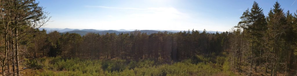 Panoramablick Schänzelturm bei Edenkoben im Pfälzerwald