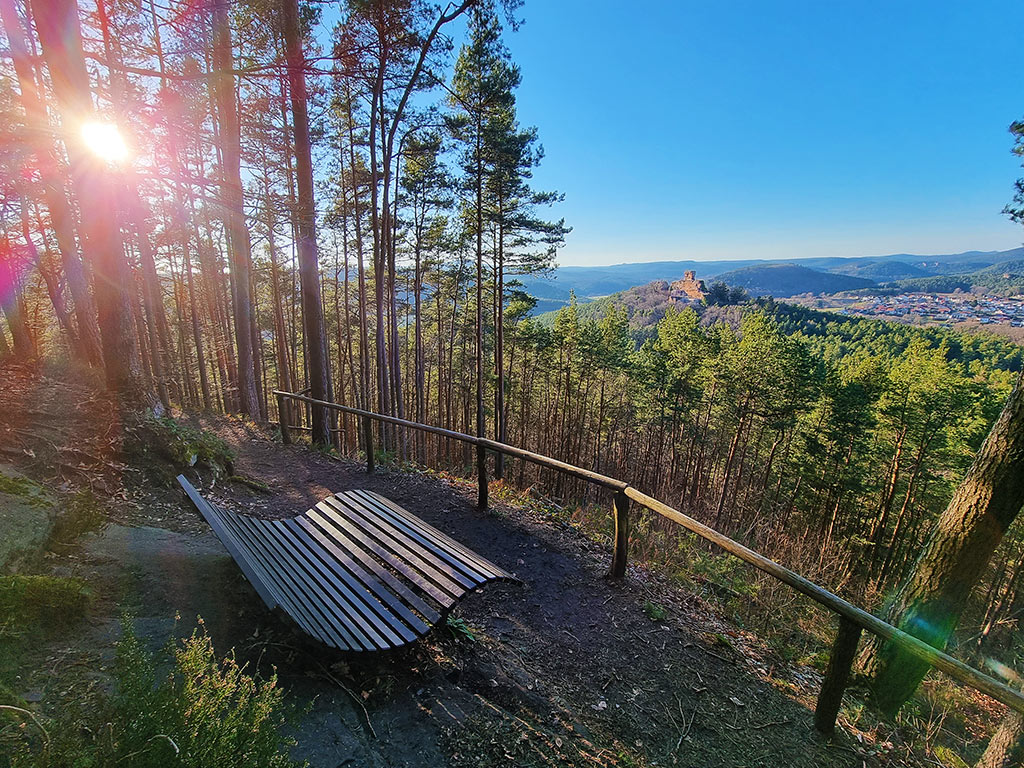 Waldsofa bei Busenberg im Pfälzerwald