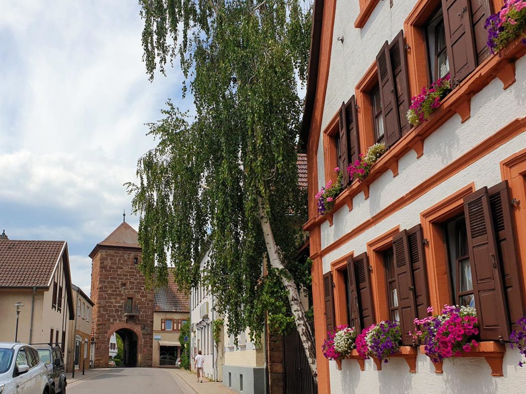 Billigheim-Ingenheim in der Südpfalz