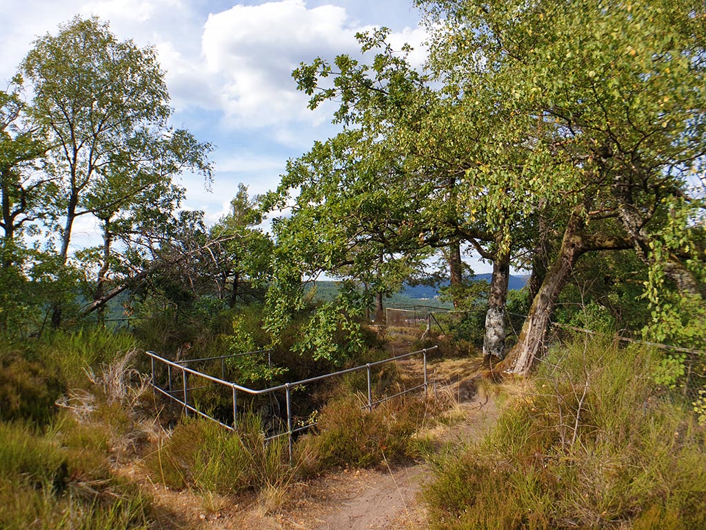 Oberburg Burg Ruppertsfelsen bei Lemberg im Pfälzerwald in der Südwestpfalz
