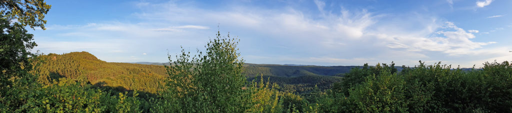 Panoramablick von Burg Lemberg in der Südwestpfalz