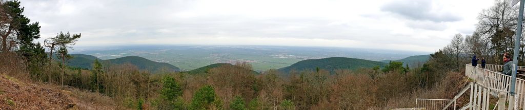 Panoramablick vom Kalmithaus bei Maikammer im Pfälzerwald