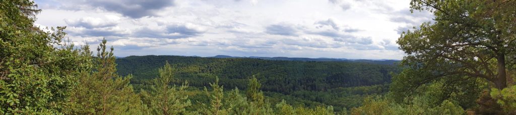 Panoramablick Lemberger Graf-Heinrich-Weg im Pfälzerwald