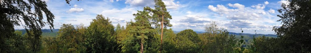 Panoramablick vom Maiblumenfels bei Lemberg im Pfälzerwald in der Süwestpfalz