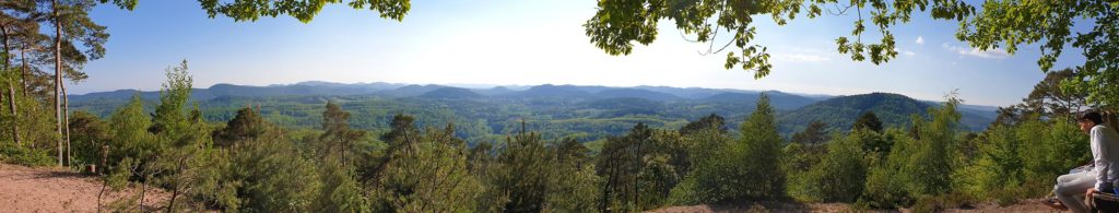 Panorama Picknick-Platz der Südlichen Weinstraße auf dem Rehberg - Richard-Löwenherz-Weg im Pfälzerwald