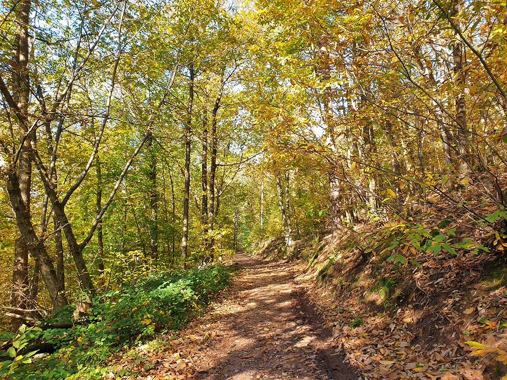 Keschde-Erlebnisweg im Pfälzerwald