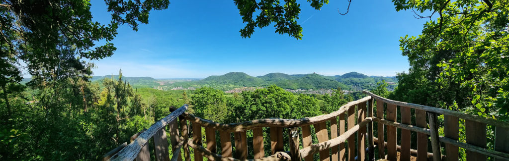 Panorama Aussichtskanzel Krappenfels auf dem Kaiser-Friedrich-Weg und Pfälzer Weinsteig bei Annweiler am Trifels im Pfälzerwald