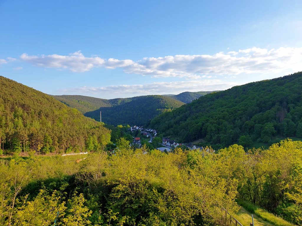 Panorama-Blick von der Kapelle St. Cyriakus auf Lindenberg im Pfälzerwald