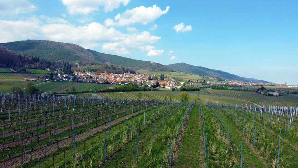 Gleisweiler in der Südpfalz