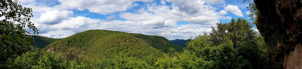 Panoramablick von der Falkenburg auf den Großen Breitenberg auf dem Wilgartswieser Biosphären-Pfad