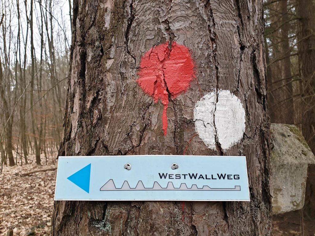 Wegweiser Westwallweg im Bienwald in der Südpfalz