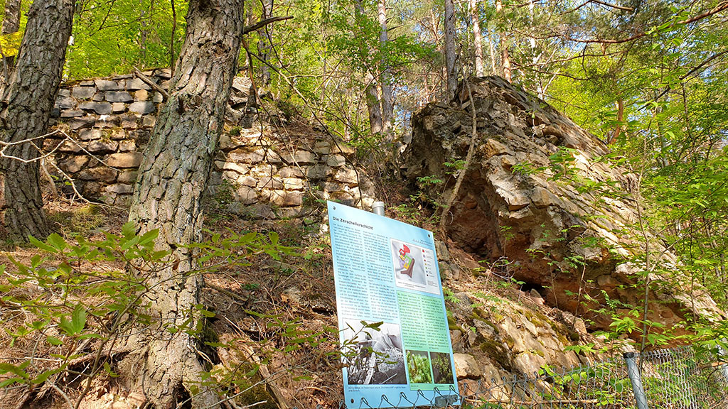 Westwallweg Oberotterbach im Pfälzerwald in der Südpfalz