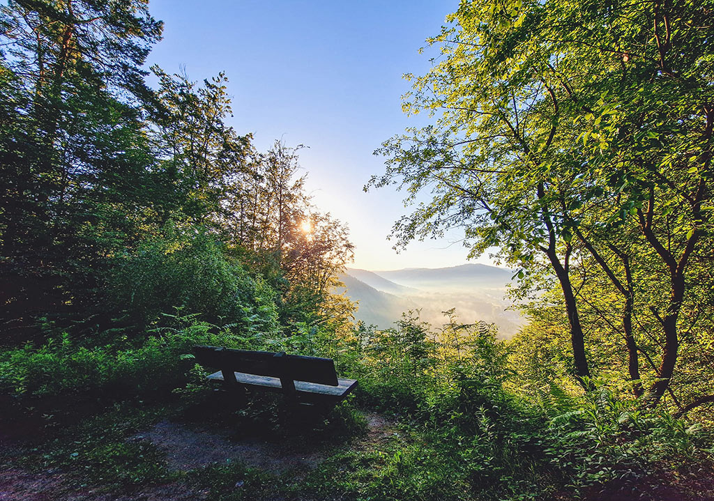 Merzalbener Burgenblick im Pfälzerwald in der Südwestpfalz