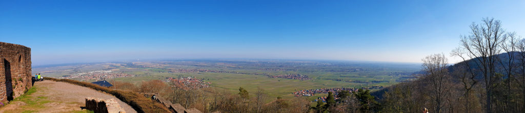 Panoramablick von Burgruine Rietburg in Rhodt unter Rietburg in der Südpfalz
