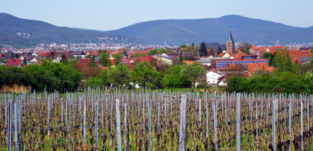 Biblischer Weinpfad - Kirrweiler