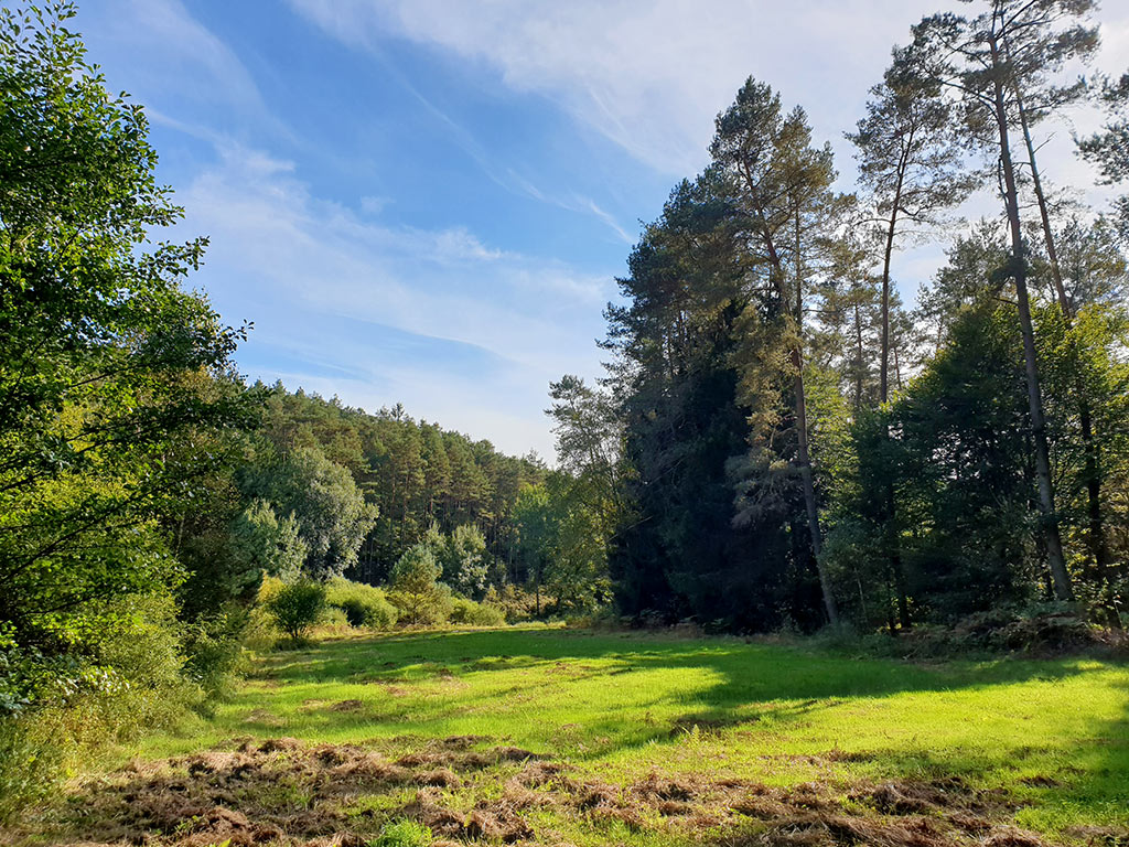 Auf der Eyberg-Tour im Dahner Felsenland im Pfälzerwald im Wasgau