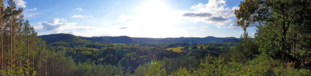 Aussicht auf Hauenstein, Falkenburg und Rauberg auf der Spirkelbacher Höllenberg-Tour im Pfälzerwald in der Südwestpfalz