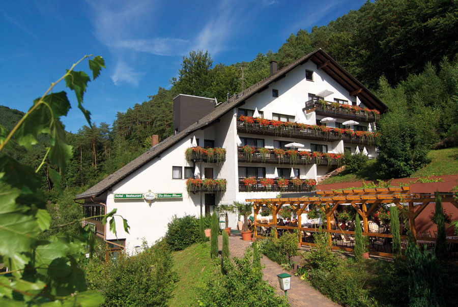 Hotel "Die kleine Blume" in Erfweiler in der Pfalz