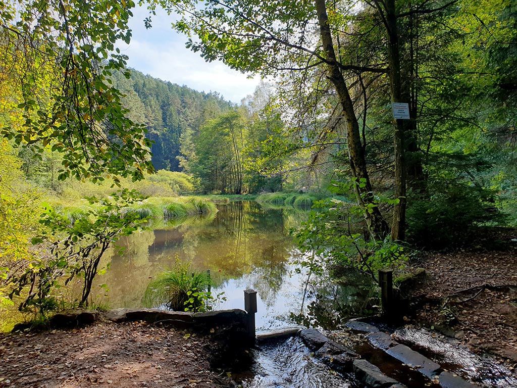 Im Moosbachtal auf der Eyberg-Tour im Dahner Felsenland im Pfälzerwald im Wasgau