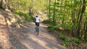 Mountainbike-Trail am Föhrlenberg bei Leinsweiler im Pfälzerwald