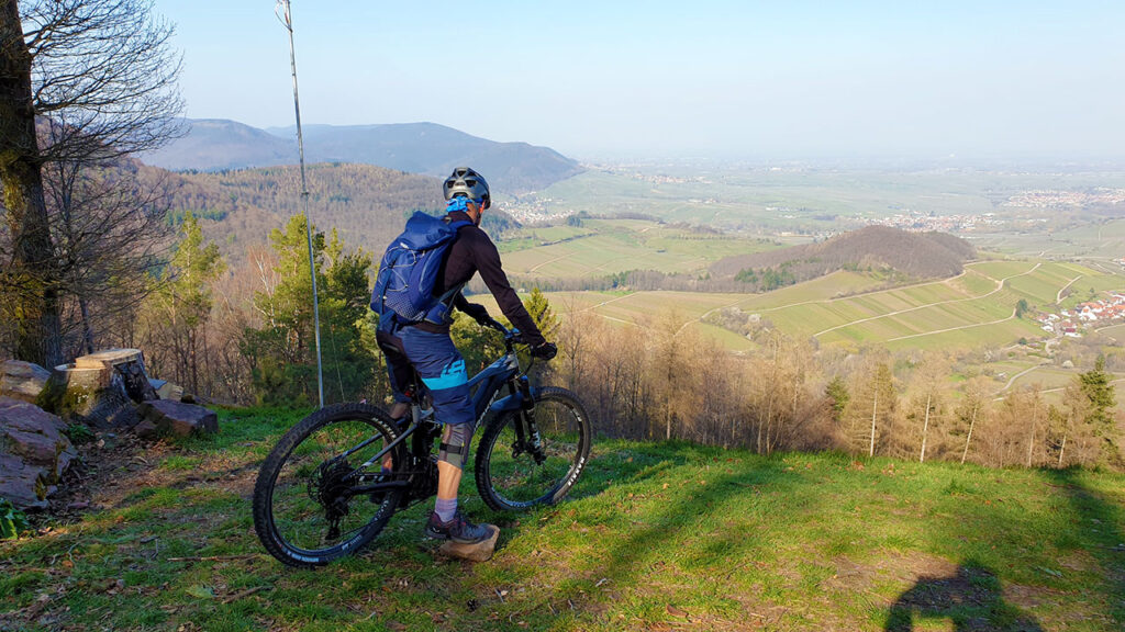 Mountainbike-Trail am Föhrlenberg im Pfälzerwald