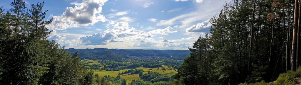 Panorama Gleitschirmflieger-Startplatz mit Blick auf Hauenstein auf der Spirkelbacher Höllenberg-Tour im Pfälzerwald in der Südwestpfalz
