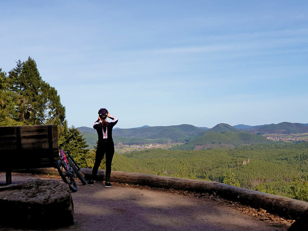 Schöne Aussicht auf der Eyberg-Tour im Dahner Felsenland im Pfälzerwald