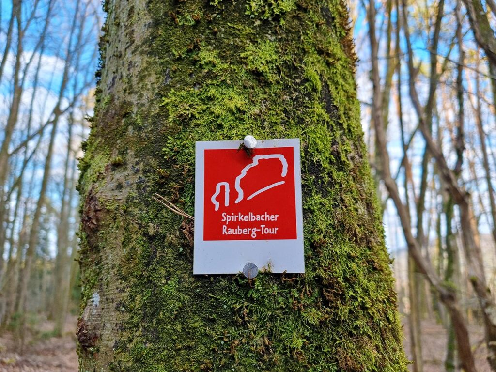 Wegweiser Spirkelbacher Rauberg-Tour im Pfälzerwald in der Südwestpfalz