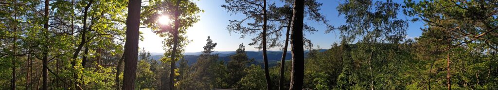 Panoramablick vom Buhlsteingrat auf dem Busenberger Holzschuhpfad im Pfälzerwald in der Südwestpfalz, Wasgau