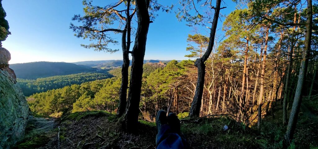 Panorama Buchkammerfels auf dem Heidenberg mit Blick auf Burg Drachenfels bei Busenberg im Dahner Felsenland, Pfälzerwald, Südwestpfalz, Wasgau