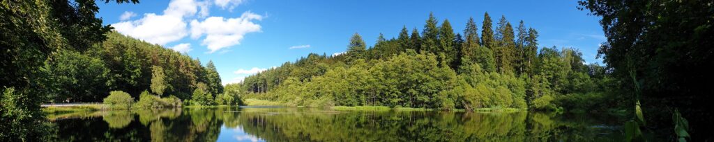 Panorama Moosalber Weiher bei Trippstadt im Pfälzerwald in der Westpfalz