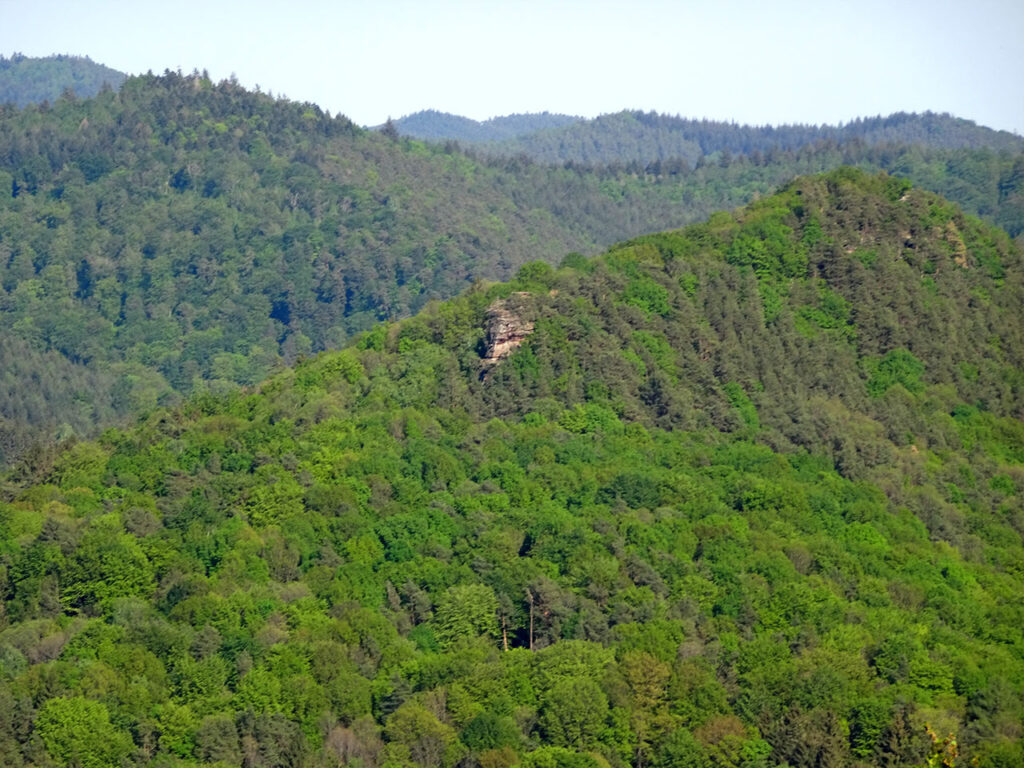 Westgrad Buntsandsteinfelsmassiv Rödelstein zwischen Oberschlettenbach und Vorderweidenthal im Pfälzerwald in der Südwestpfalz, Wasgau