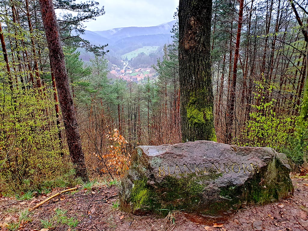 Blankenborn - Bad Bergzabern im Pfälzerwald in der Südpfalz