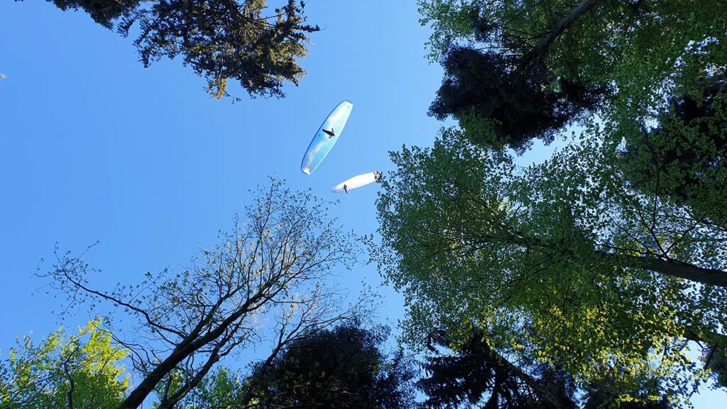 Gleitschirmflieger über Baumwipfel auf dem Slevogtweg Leinsweiler in der Südpfalz, Pfälzerwald