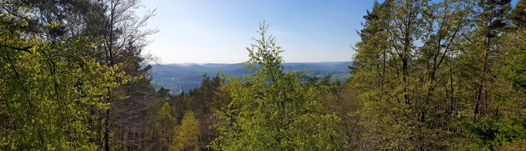 Panorama Aussichtsfels Treutelskopf beim Martinsturm bei Klingenmünster im Pfälzerwald in der Südpfalz