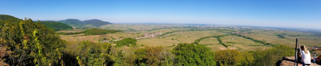 Panorama-Blick auf die Rheinebene von Burgruine Neukastell bei Leinsweiler, Südpfalz auf dem Slevogt-Weg und August-Becker-Wanderweg