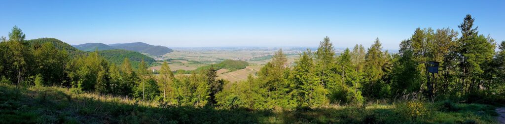 Panoramablick vom Föhrlenberg bei Leinsweiler, Südliche Weinstraße, Pfalz