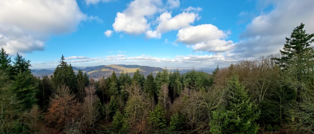 Panoramablick vom Martinsturm bei Klingenmünster im Wasgau, Pfälzerwald in der Südpfalz