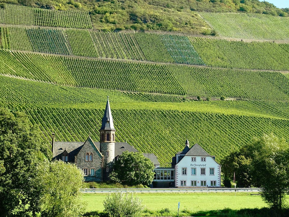 Sofortkredit für Immobilienrenovierung in der Pfalz - Pixabay.com © Chorengel CCO Public Domain