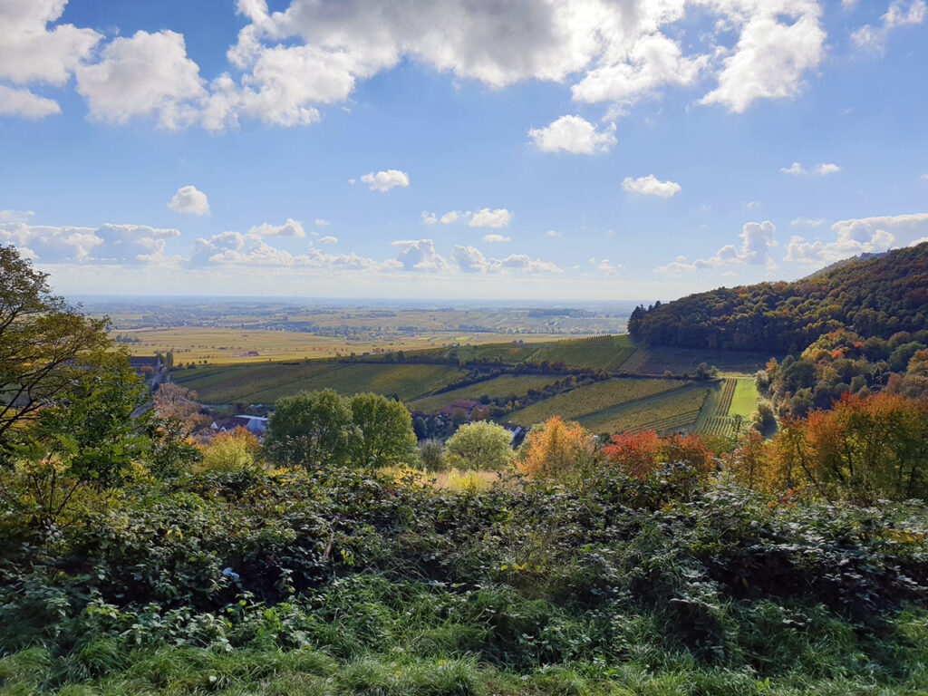 Blick auf die Rheinebene vom Slevogthof in Leinsweiler, Südpfalz auf dem Slevogt-Weg, August-Becker-Wanderweg, Pfälzer Weinsteig, Pälzer Keschdeweg und Keschde-Erlebnisweg