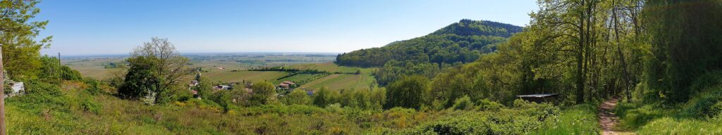 Panorama vom Startpunkt Slevogtweg auf dem August-Becker-Wanderweg am Slevogthof bei Leinsweiler im Pfälzerwald in der Südpfalz